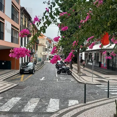 Local Trigal Apartmán