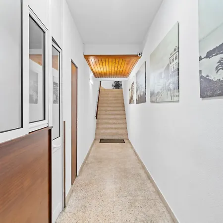 Apartmán Local Trigal *